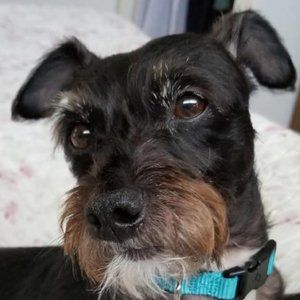 Meet your Posher, Angie